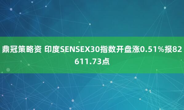 鼎冠策略资 印度SENSEX30指数开盘涨0.51%报82611.73点