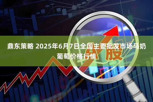 鼎东策略 2025年6月7日全国主要批发市场马奶葡萄价格行情