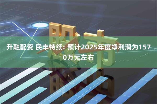 升融配资 民丰特纸: 预计2025年度净利润为1570万元左右